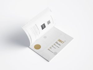 Бюджет України 2017: підсумки І півріччя (doc)