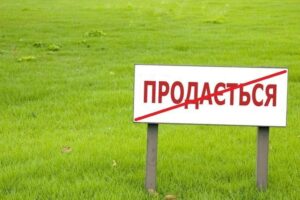 Аграрні барони не дозволять зняти мораторій на продаж землі – Анатолій Амелін