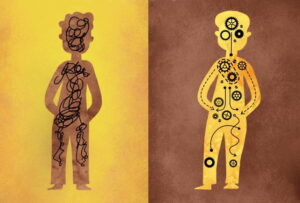 THE EXPERT EXPLAINED WHETHER THE DIVISION INTO “HUMANISTS” AND “TECHIES” EXISTS