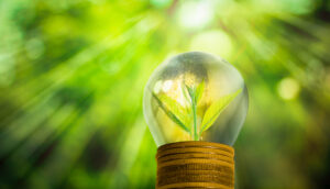 Liberalizing Ukraine’s Electricity Market: Benefits and Risks