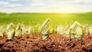 Анатолій Амелін: З ухваленням закону про ринок землі сільське господарство отримає нове життя