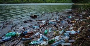 Сміттєвій колапс на річці Тиса