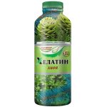 Хелатин хвоя