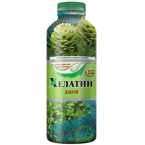 Хелатин хвоя