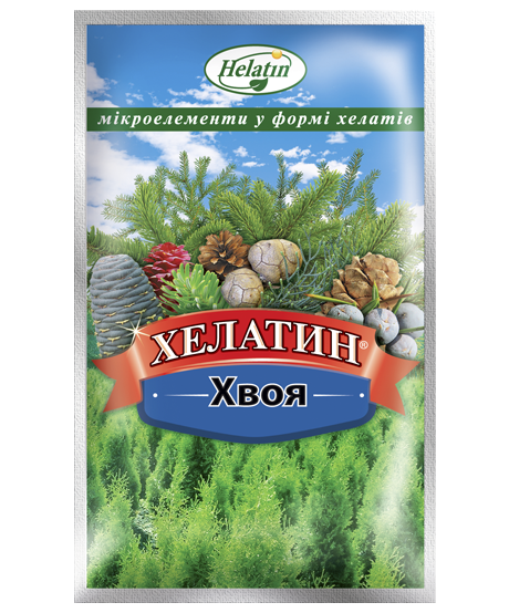 Хелатин хвоя