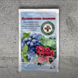 Бурштинова кислота