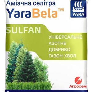 Аміачна селітра