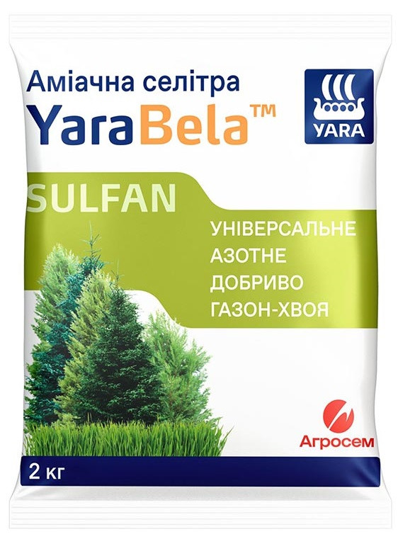 Аміачна селітра