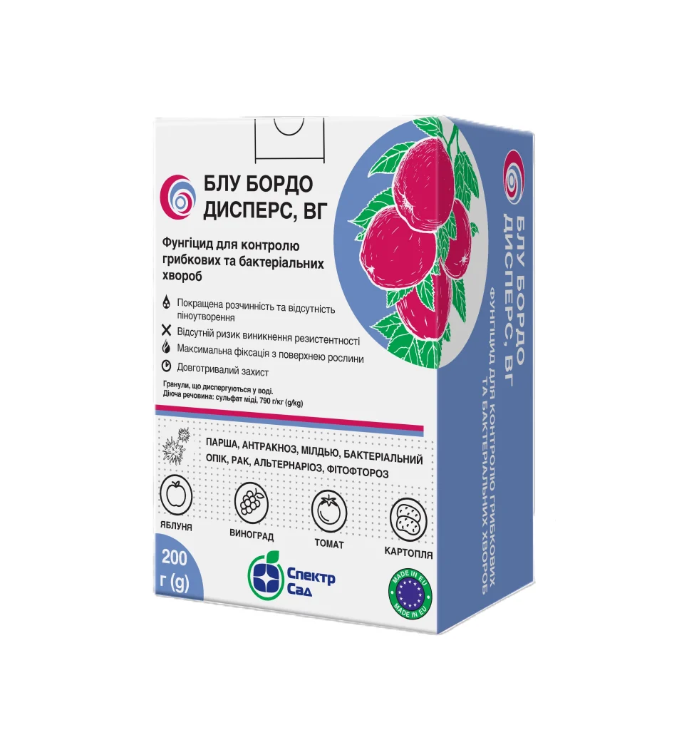 Блу Бордо Дисперс