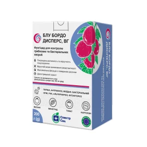 Блу Бордо Дисперс