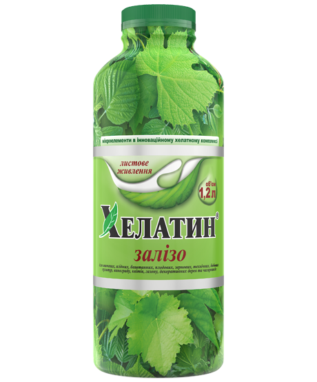 Хелатин Залізо