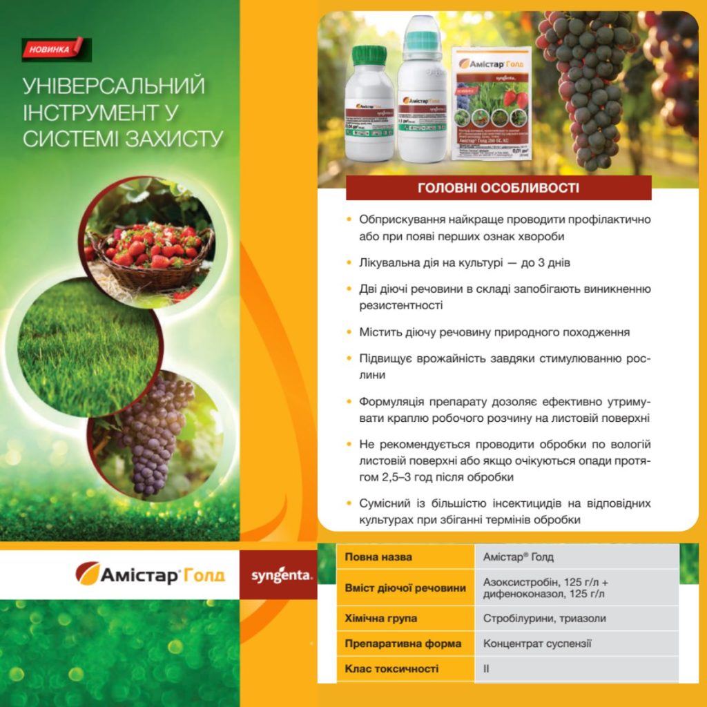 Амістар Голд