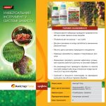 Амістар Голд