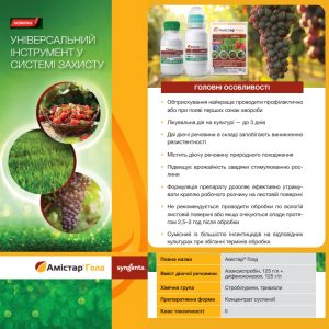 Амистар Голд