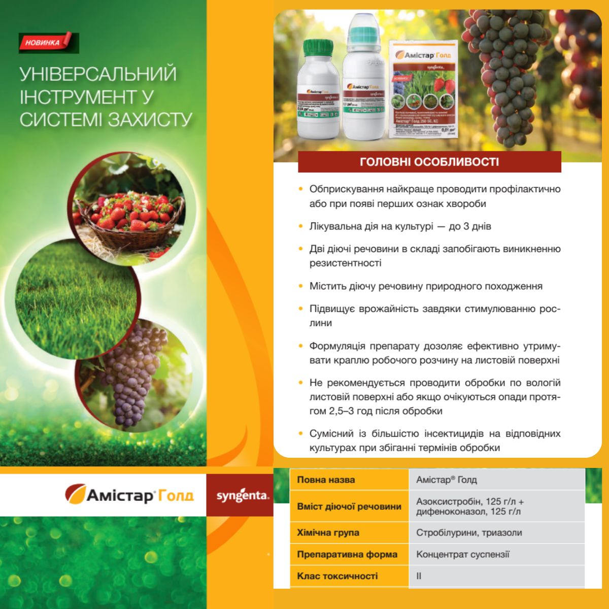 Амістар Голд