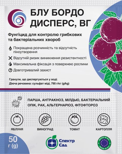 Блу Бордо Дисперс