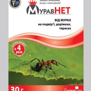 МуравНЕТ