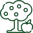 Саджанці плодових дерев