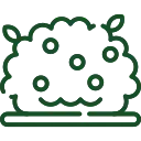 Плодові кущі