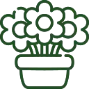 Багаторічні квіти