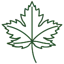 Листяні дерева