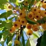 Разом з вами (10)