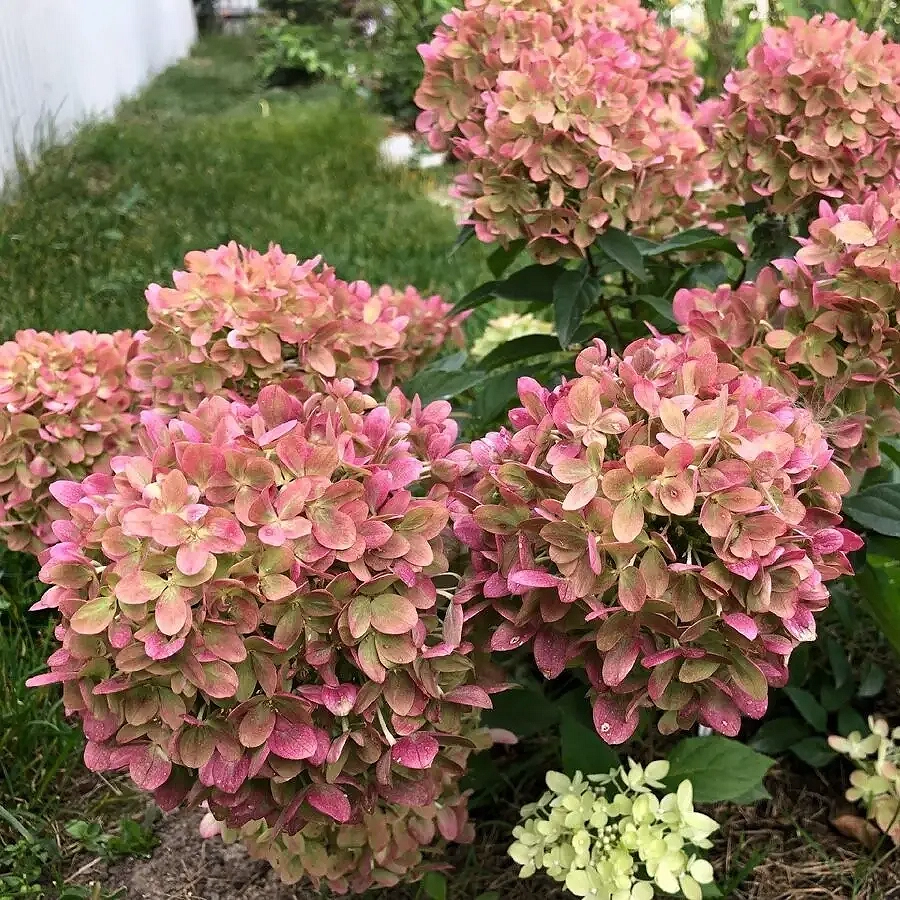 3875284865_w640_h640_3875284865