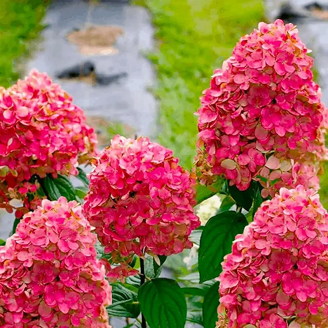 5787116346_w1280_h640_5787116346