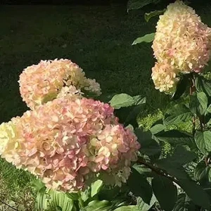 6284239212_w1280_h640_6284239212