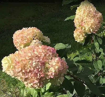 6284239212_w1280_h640_6284239212