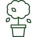 Листяні кущі