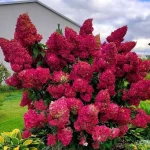 cb0uyhcek30cu0swpq1i4u7rqamgrzk1