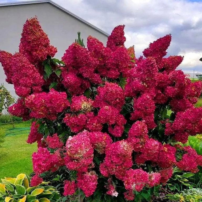 cb0uyhcek30cu0swpq1i4u7rqamgrzk1