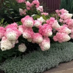 e2e4e28ad9ffe69b344c2b63e5dd28cc