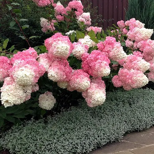 e2e4e28ad9ffe69b344c2b63e5dd28cc